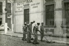 Cenourinhas em serviço