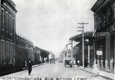 Rua Bicudo Leme
