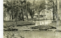 Bosque da Princesa