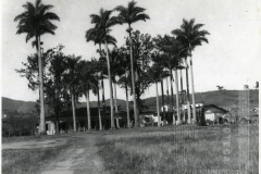 Fazenda Goiabal