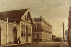 Palecete da Palmeira