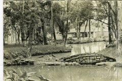 Bosque da Princesa