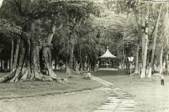 Bosque da Princesa