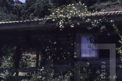 Casa em campo