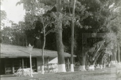 Restaurante do Bosque da Princesa