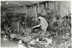 Stand da Chácara Flora do Vale