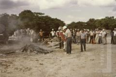 Curso de brigadista