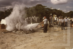 Curso de brigadista