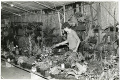 Stand da Chácara Flora do Vale
