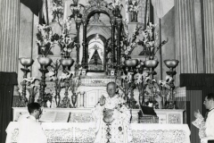 César Salgado presidente da união dos Amigos da Padroeira em prol da construção da Nova Basílica Nacional de Aparecida