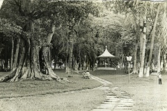 Bosque da Princesa
