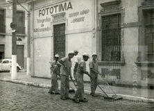 Cenourinhas em serviço