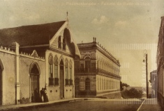 Palecete da Palmeira