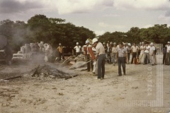 Curso de brigadista