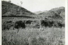 Estrada das Oliveiras
