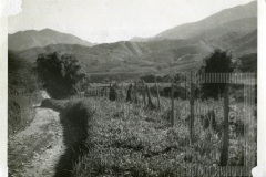 Paisagem do Bairro das Oliveiras