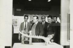 Caio Gomes Figueiredo