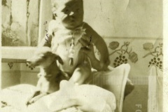 Bebê com cachorro