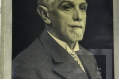 Homem de cabelos grisalhos