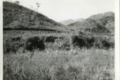 Estrada das Oliveiras