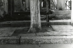 Av. Doutor Jorge Tibiriçá