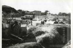 Saneamento no bairro Cidade Jardim