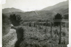 Paisagem do Bairro das Oliveiras