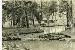 Bosque da Princesa