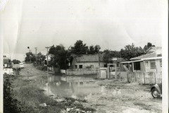 MUNICIPIO DE MONTE ALTO