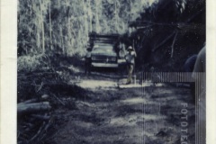 Estrada do Goiabal