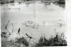 Enchente Rio Paraíba
