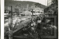 Ponte das Jabuticabeiras
