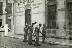 Cenourinhas em serviço