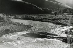 Paisagem de campo