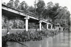 Ponte Sapucaia