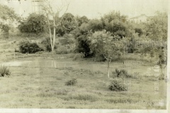 Paisagem do Campo Belo