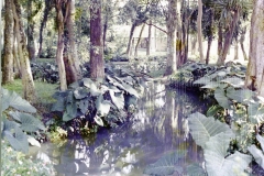 Bosque da Princesa