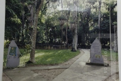 BOSQUE DA PRINCESA