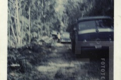 Estrada do Goiabal