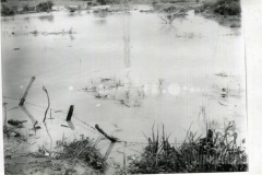 Enchente Rio Paraíba