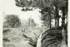 Avenida Nossa Senhora do bom Sucesso