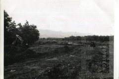 Terreno praça  Castelo Branco