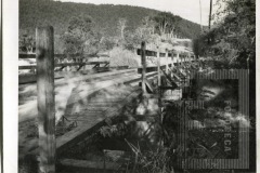 Ponte das Jabuticabeiras