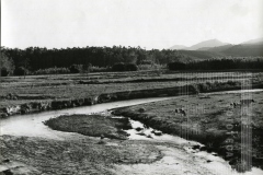 Paisagem de campo
