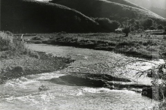 Paisagem de campo